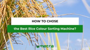 rice sorting machine