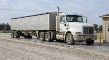 A white semi truck with a silver hopper-bottom grain trailer on a truck scale beside a weighing office.