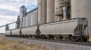 Illustration of covered grain hopper railcars beside a concrete grain elevator.