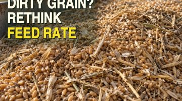 AI-generated illustration of wheat mixed with loose husks and short straw fragments in a worn metal receiving bin, shown in a sunlit close-up.