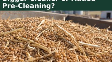 AI-generated photorealistic illustration of incoming wheat mixed with long dry straw fragments in a plain farm receiving hopper.